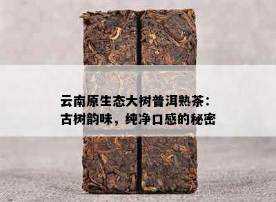 云南原生态大树普洱熟茶：古树韵味，纯净口感的秘密