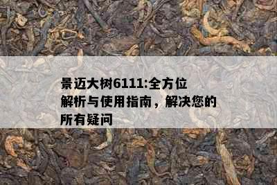 景迈大树6111:全方位解析与使用指南，解决您的所有疑问