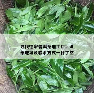 寻找德宏普洱茶加工厂：详细地址及联系方式一目了然