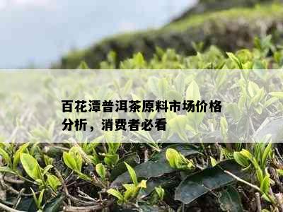 百花潭普洱茶原料市场价格分析，消费者必看