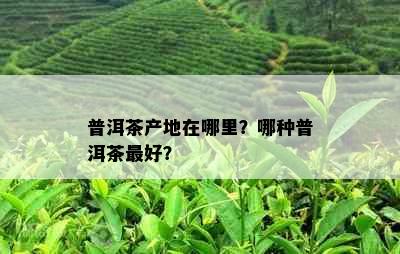 普洱茶产地在哪里？哪种普洱茶更好？