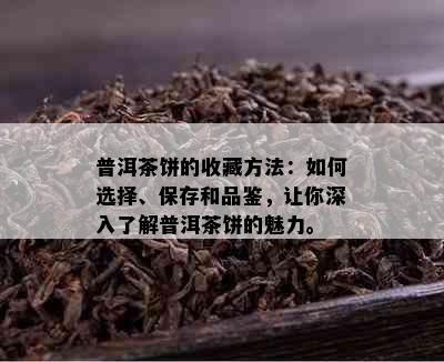 普洱茶饼的收藏方法：如何选择、保存和品鉴，让你深入了解普洱茶饼的魅力。