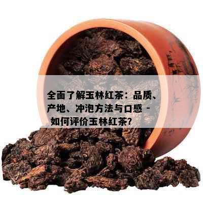 全面了解玉林红茶：品质、产地、冲泡方法与口感 - 如何评价玉林红茶？