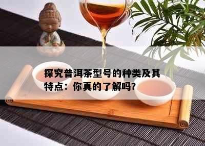 探究普洱茶型号的种类及其特点：你真的了解吗？