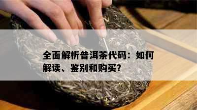 全面解析普洱茶代码：如何解读、鉴别和购买？