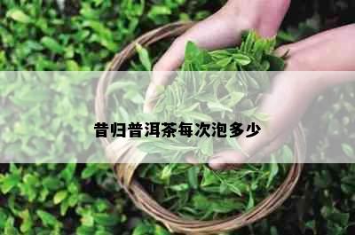 昔归普洱茶每次泡多少