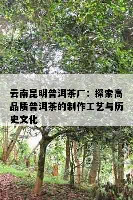 云南昆明普洱茶厂：探索高品质普洱茶的制作工艺与历史文化