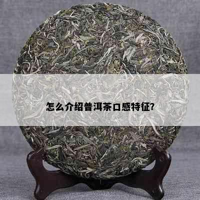 怎么介绍普洱茶口感特征？