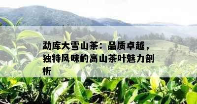 勐库大雪山茶：品质卓越，独特风味的高山茶叶魅力剖析