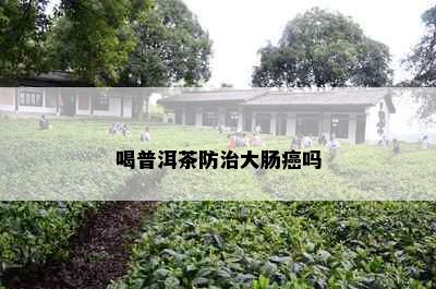 喝普洱茶防治大肠癌吗