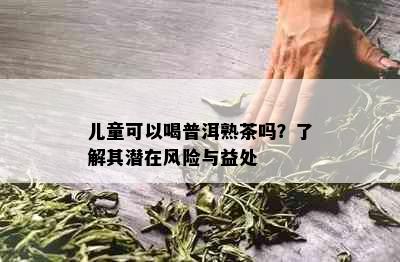 儿童可以喝普洱熟茶吗？了解其潜在风险与益处