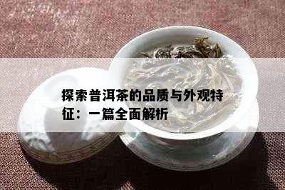 探索普洱茶的品质与外观特征：一篇全面解析