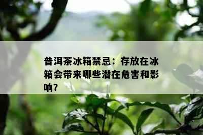 普洱茶冰箱禁忌：存放在冰箱会带来哪些潜在危害和影响？