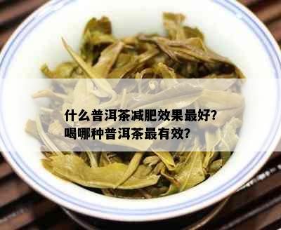 什么普洱茶减肥效果更好？喝哪种普洱茶最有效？