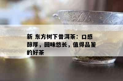 新 东方树下普洱茶：口感醇厚，回味悠长，值得品鉴的好茶