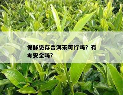 保鲜袋存普洱茶可行吗？有安全吗？