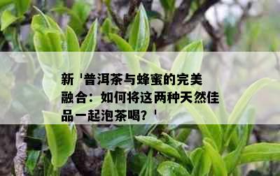 新 '普洱茶与蜂蜜的完美融合：如何将这两种天然佳品一起泡茶喝？'