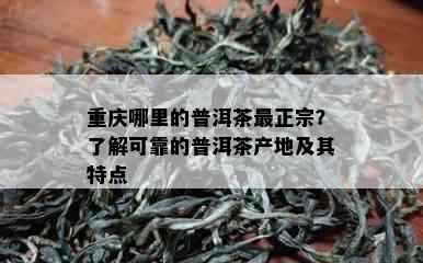 重庆哪里的普洱茶最正宗？了解可靠的普洱茶产地及其特点