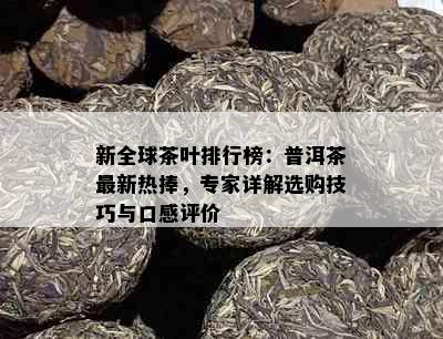 新全球茶叶排行榜：普洱茶最新热捧，专家详解选购技巧与口感评价