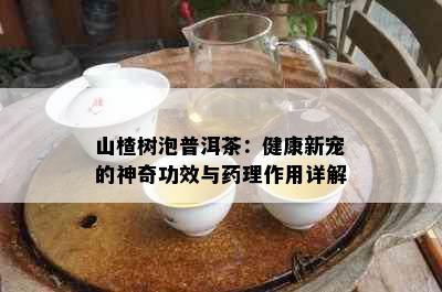 山楂树泡普洱茶：健康新宠的神奇功效与理作用详解