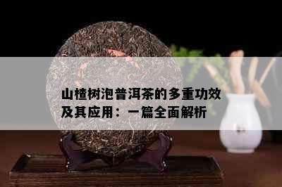 山楂树泡普洱茶的多重功效及其应用：一篇全面解析