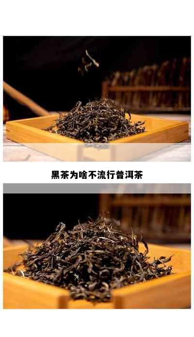 黑茶为啥不流行普洱茶