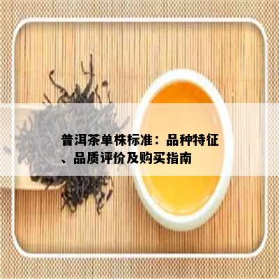 普洱茶单株标准：品种特征、品质评价及购买指南