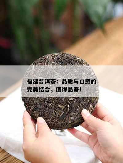 福建普洱茶：品质与口感的完美结合，值得品鉴！