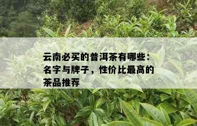 云南必买的普洱茶有哪些：名字与牌子，性价比更高的茶品推荐