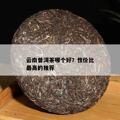 云南普洱茶哪个好？性价比更高的推荐