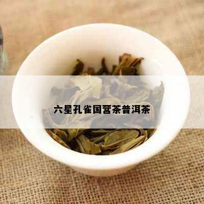 六星孔雀国营茶普洱茶