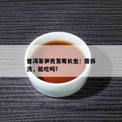 普洱茶笋壳发霉长虫：需拆洗，能吃吗？