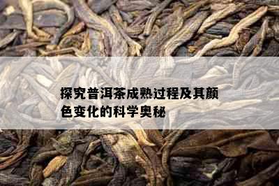 探究普洱茶成熟过程及其颜色变化的科学奥秘