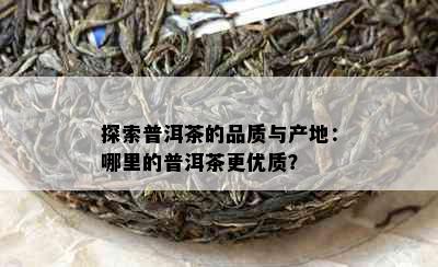 探索普洱茶的品质与产地：哪里的普洱茶更优质？