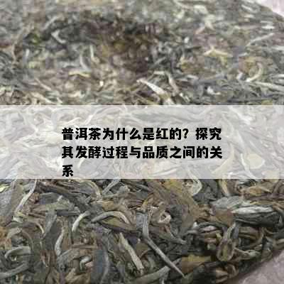 普洱茶为什么是红的？探究其发酵过程与品质之间的关系