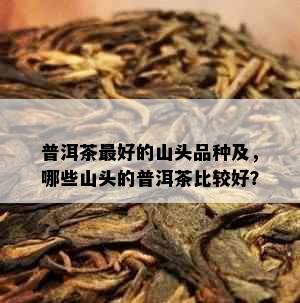 普洱茶更好的山头品种及，哪些山头的普洱茶比较好？