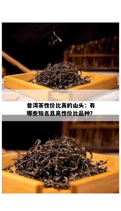 普洱茶性价比高的山头：有哪些知名且高性价比品种？