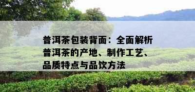 普洱茶包装背面：全面解析普洱茶的产地、制作工艺、品质特点与品饮方法