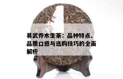 易武乔木生茶：品种特点、品质口感与选购技巧的全面解析