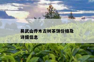 易武山乔木古树茶饼价格及详细信息