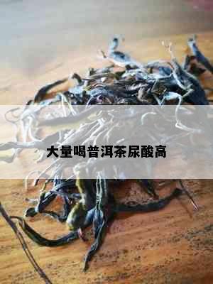 大量喝普洱茶尿酸高