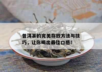 普洱茶的完美存放方法与技巧，让你喝出更佳口感！