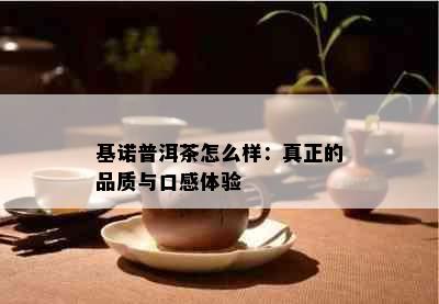 基诺普洱茶怎么样：真正的品质与口感体验