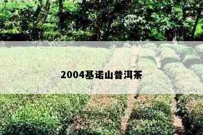 2004基诺山普洱茶