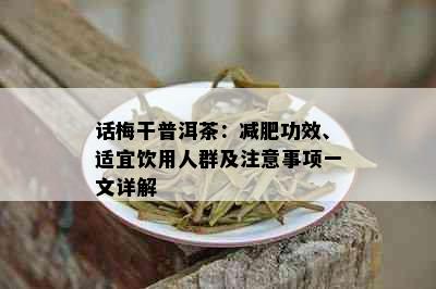 话梅干普洱茶：减肥功效、适宜饮用人群及注意事项一文详解