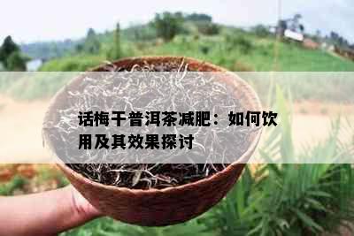 话梅干普洱茶减肥：如何饮用及其效果探讨