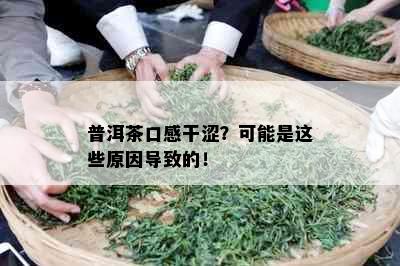 普洱茶口感干涩？可能是这些原因导致的！