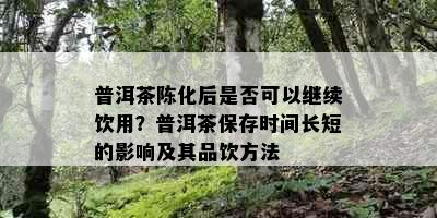 普洱茶陈化后是否可以继续饮用？普洱茶保存时间长短的影响及其品饮方法