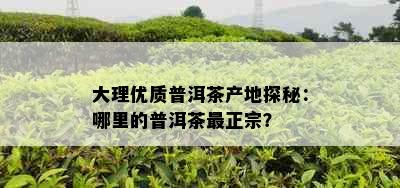 大理优质普洱茶产地探秘：哪里的普洱茶最正宗？