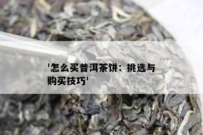 '怎么买普洱茶饼：挑选与购买技巧'